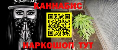 шишки Усть-Илимск