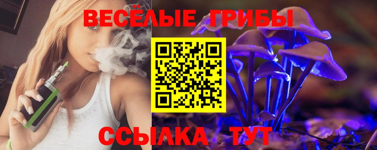 Псилоцибиновые грибы Psilocybine cubensis Нарткала