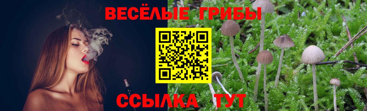 Нарткала  Псилоцибиновые грибы GOLDEN TEACHER  Вход с VPN 